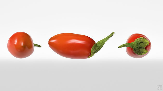 Goji  3D model 5