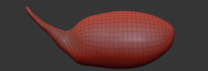 Goji  3D model 7