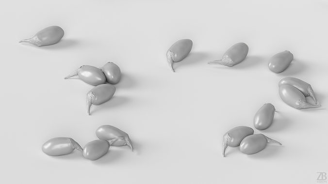 Goji  3D model 4