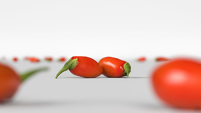 Goji  3D model 2