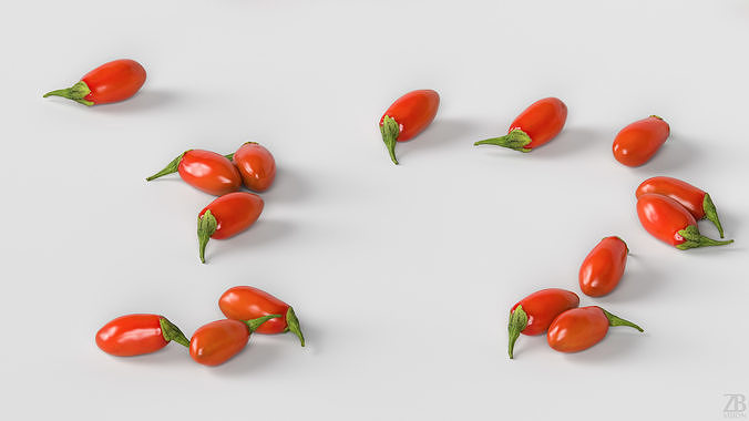 Goji  3D model 3