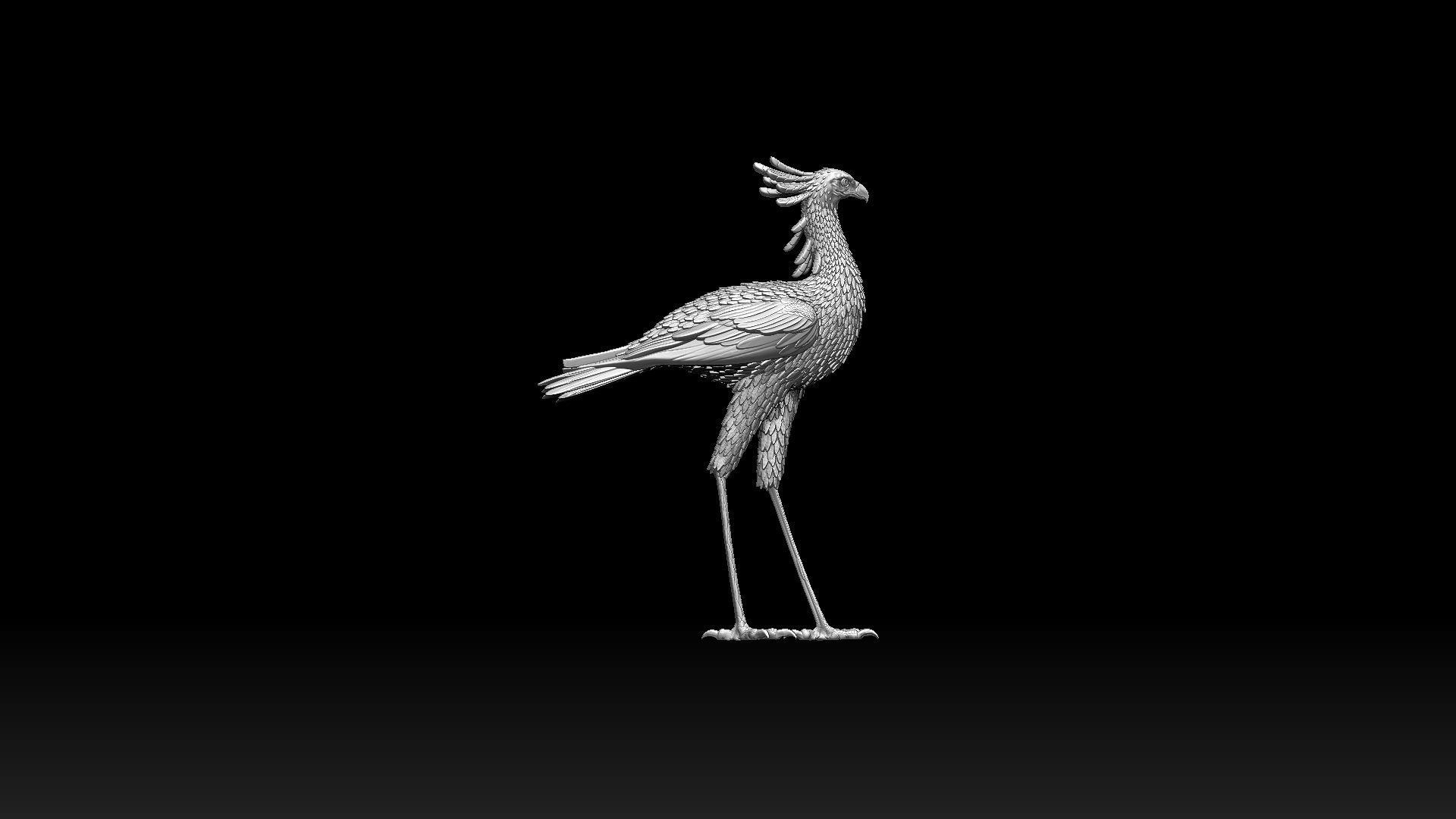 bird secretary 3D print model_1