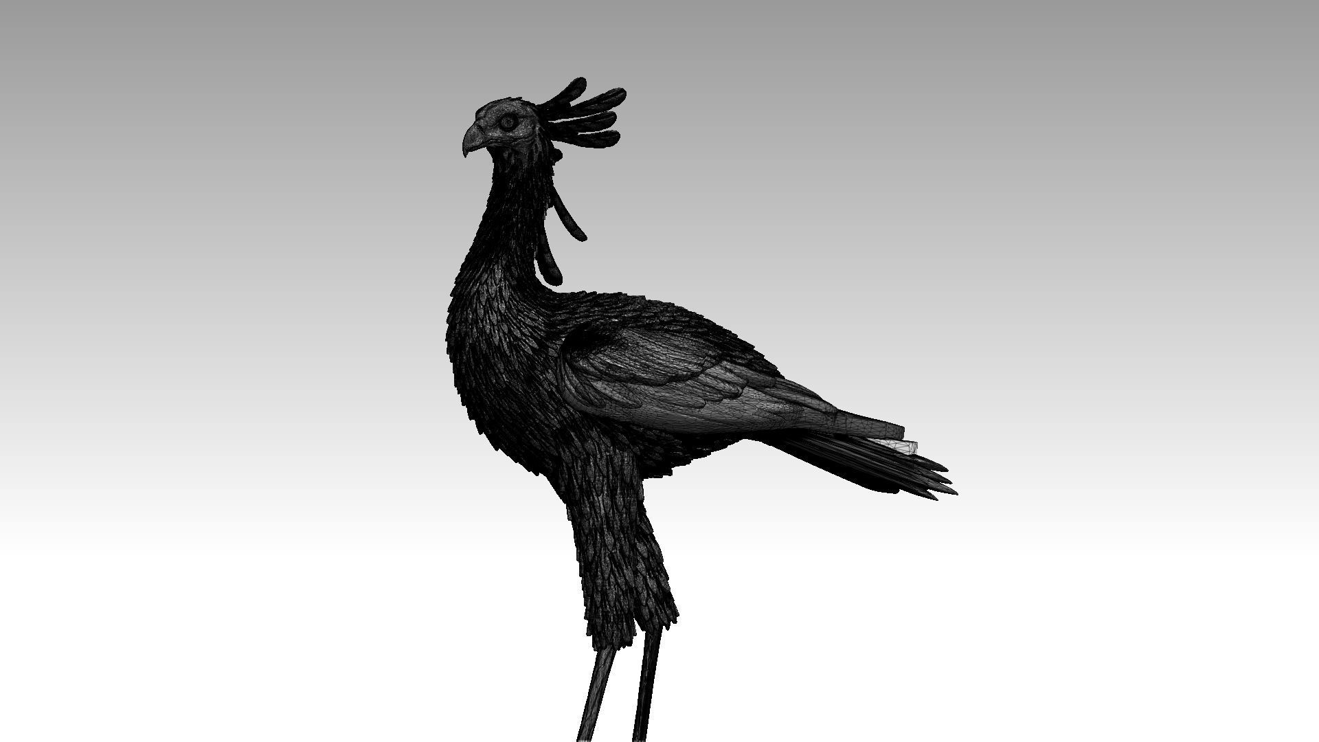 bird secretary 3D print model_11