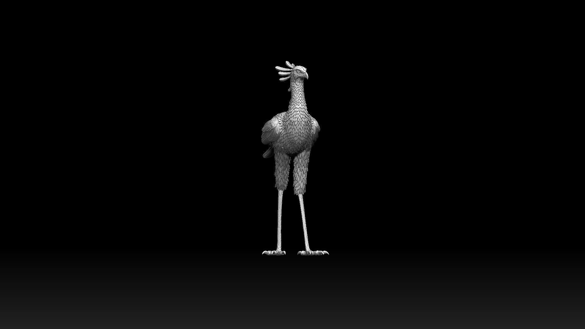 bird secretary 3D print model_6