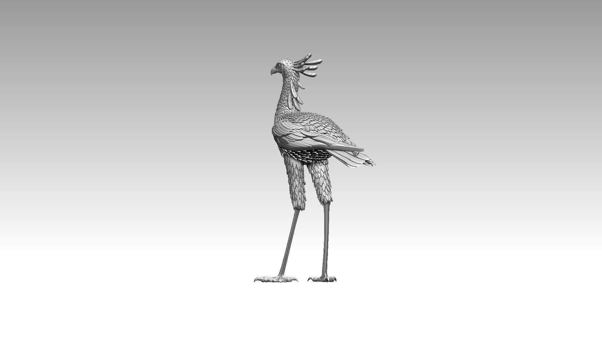 bird secretary 3D print model_10