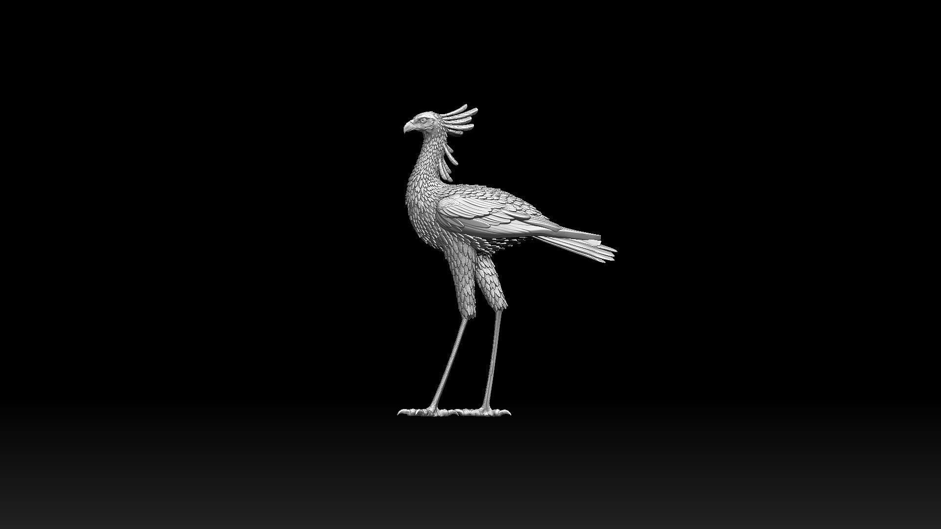 bird secretary 3D print model_3