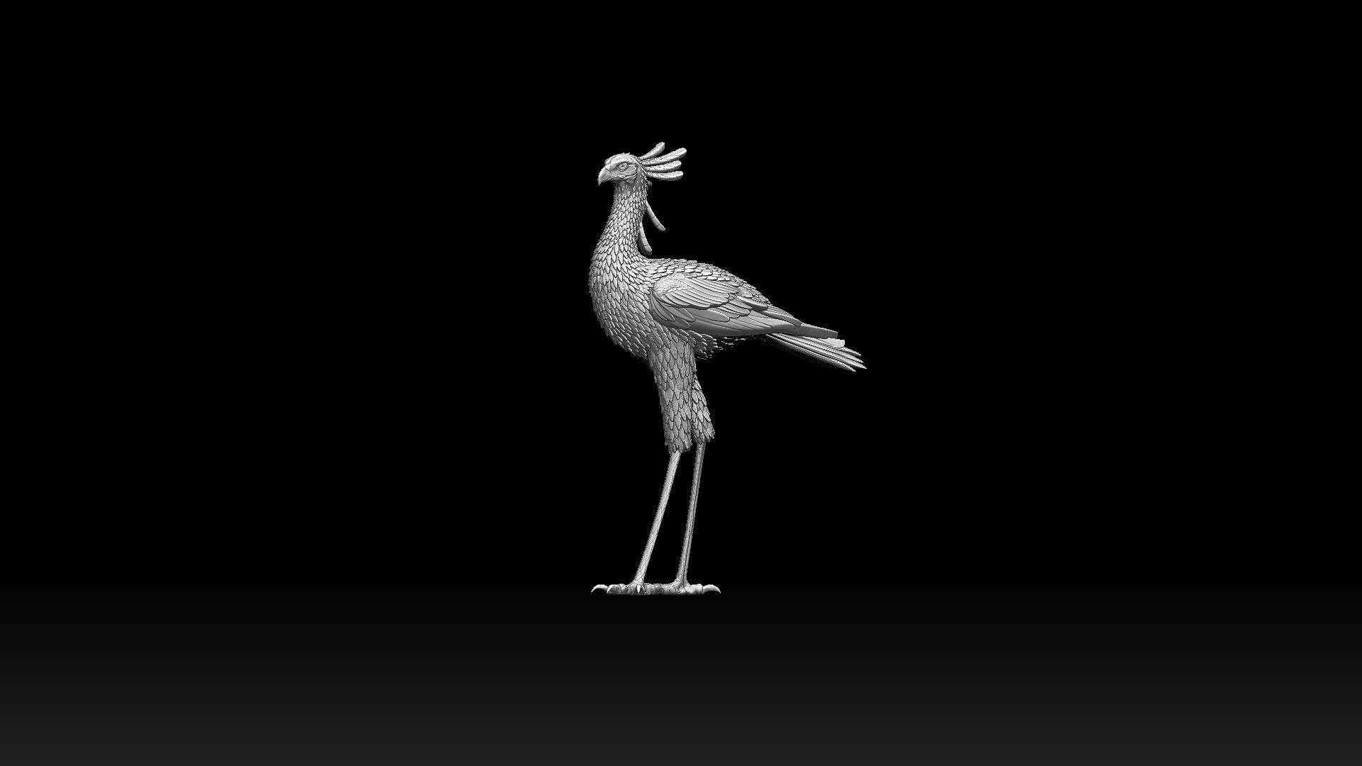 bird secretary 3D print model_2