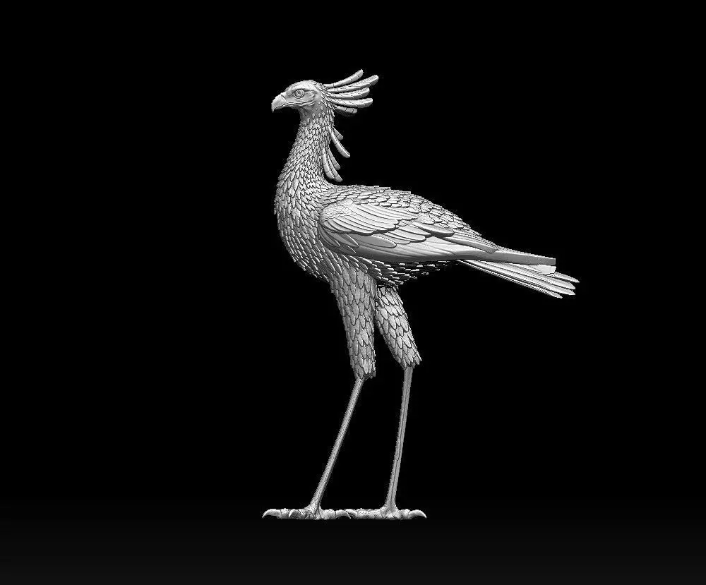 bird secretary 3D print model_0