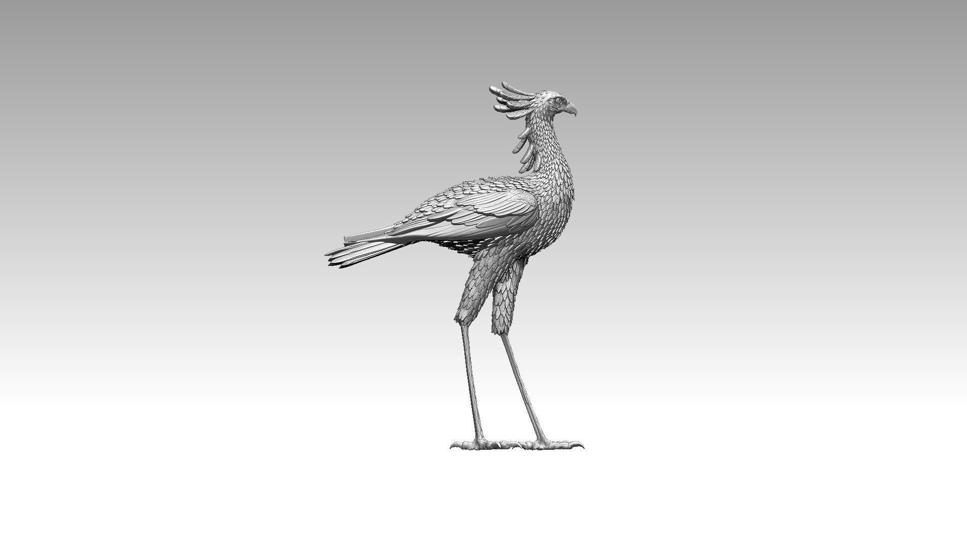 bird secretary 3D print model_8