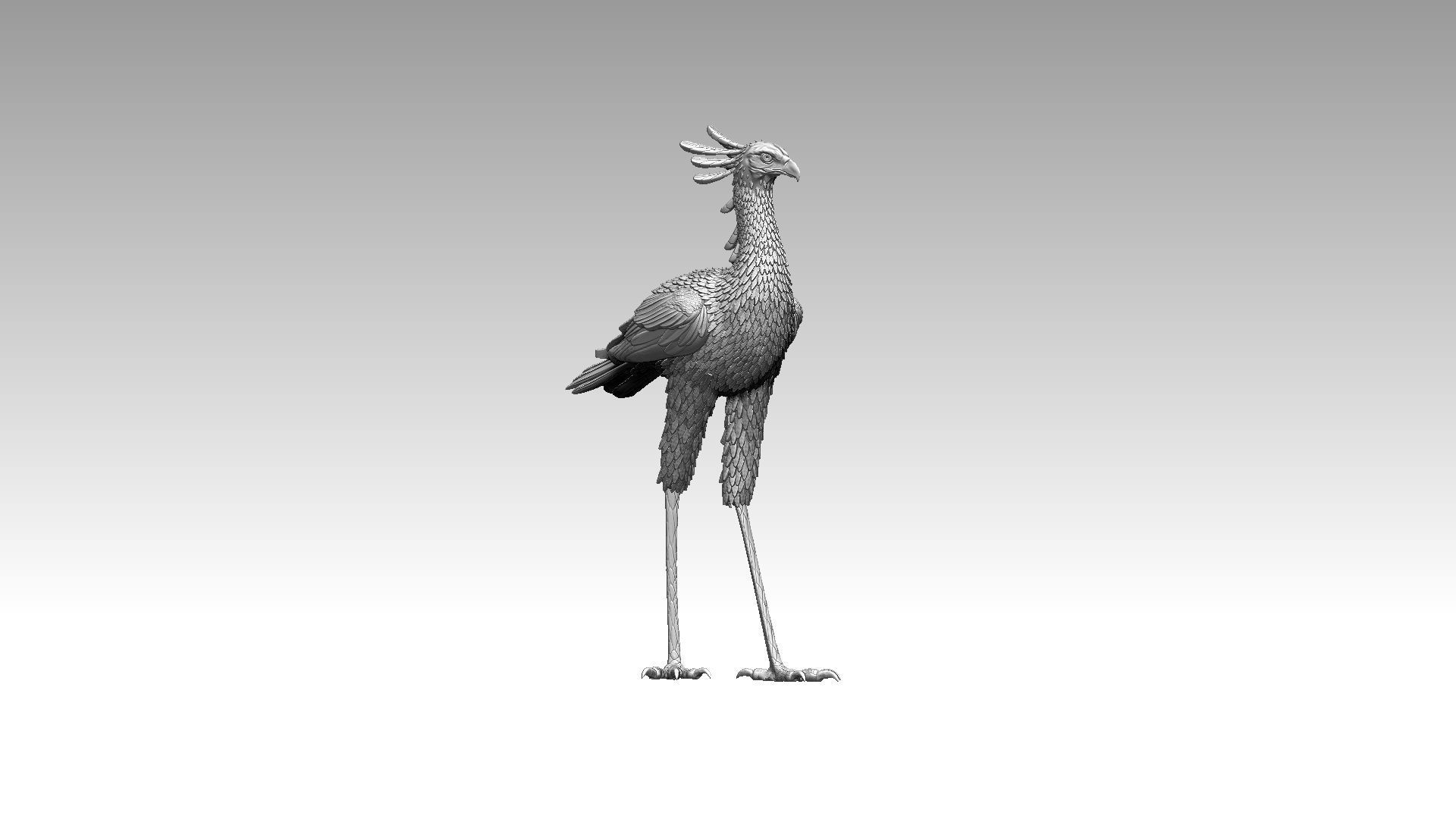 bird secretary 3D print model_9
