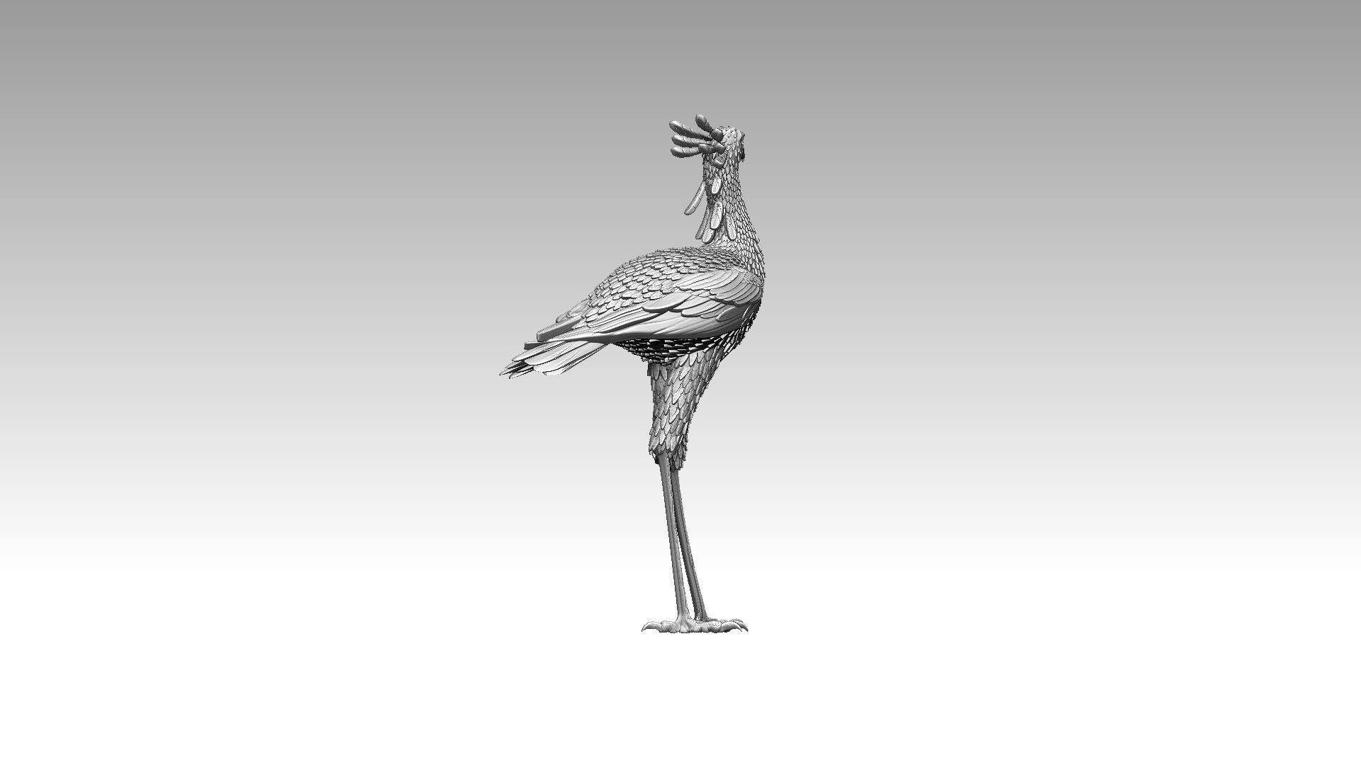 bird secretary 3D print model_12