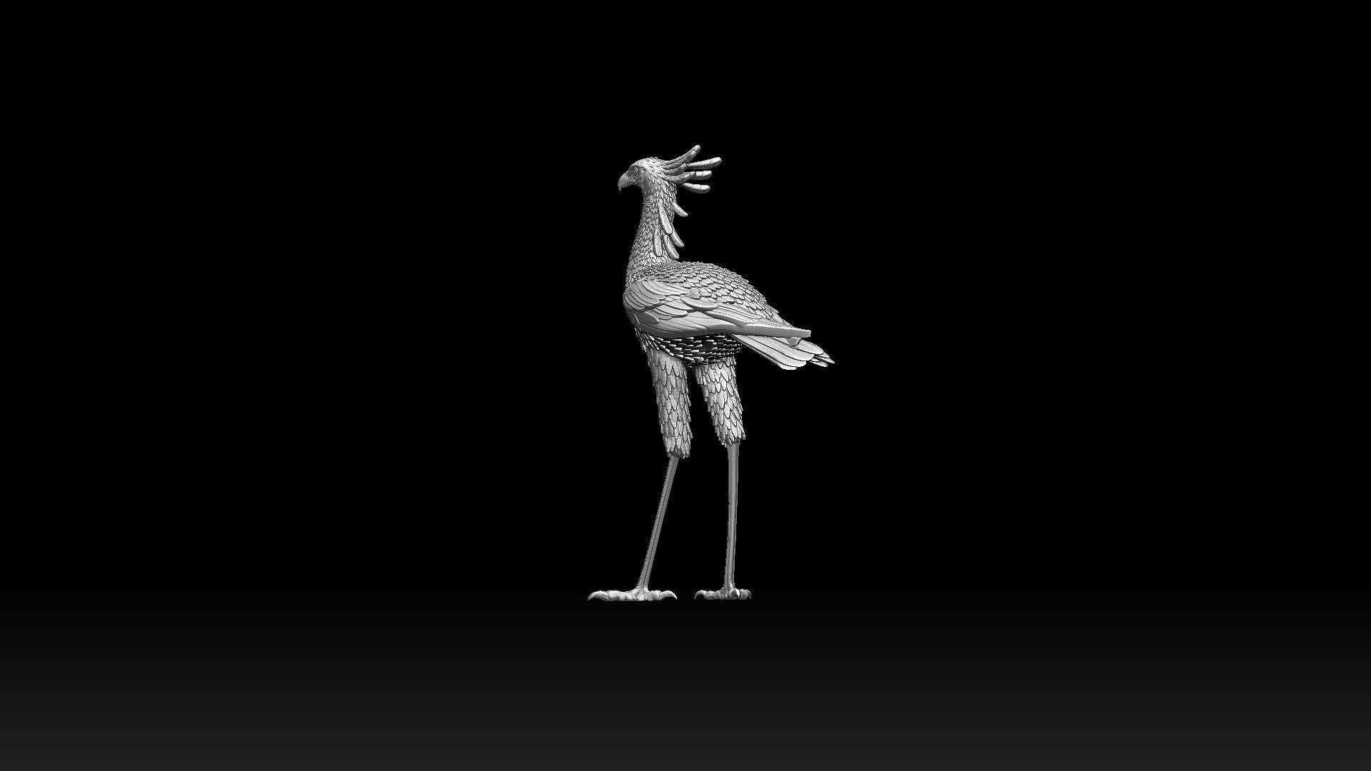 bird secretary 3D print model_5