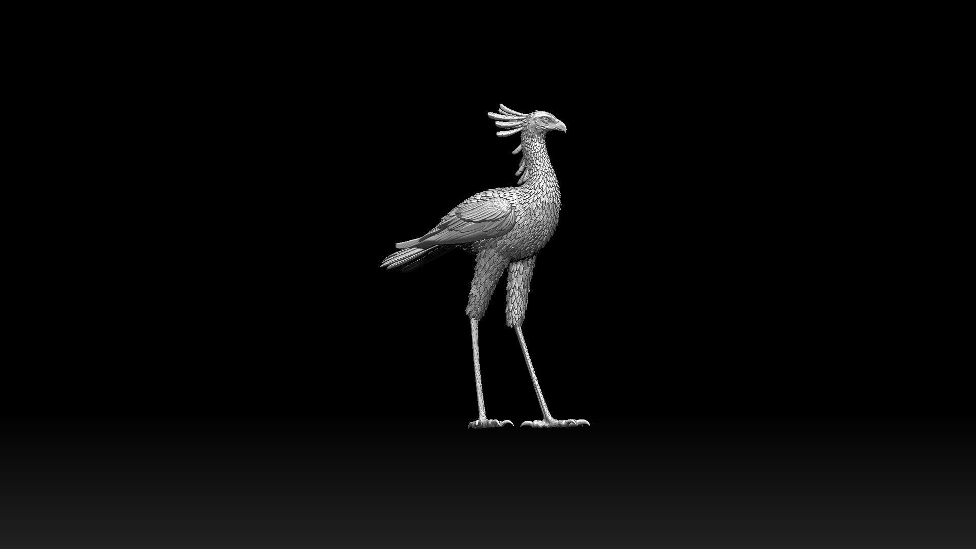 bird secretary 3D print model_4