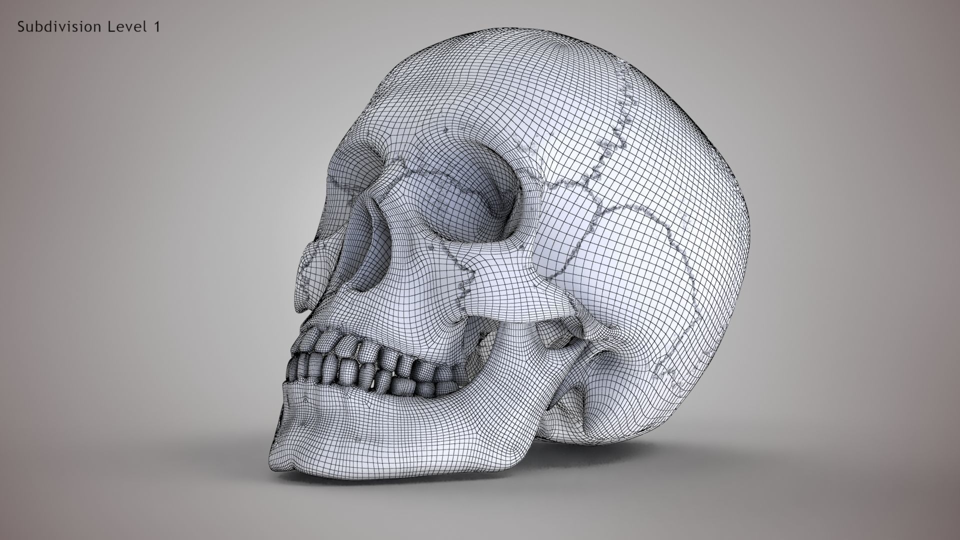 Human Skull Low-poly 3D model_18