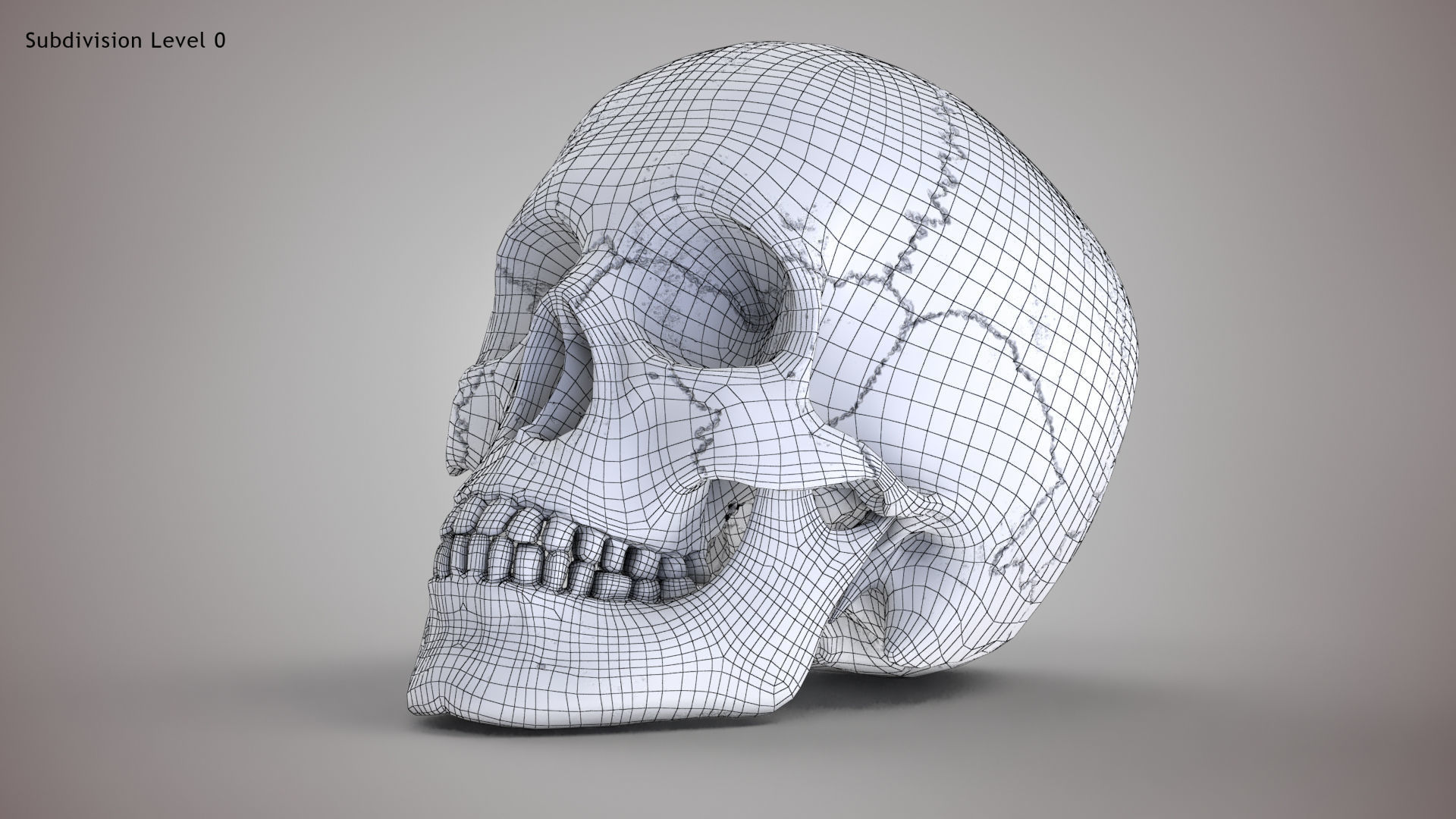 Human Skull Low-poly 3D model_14