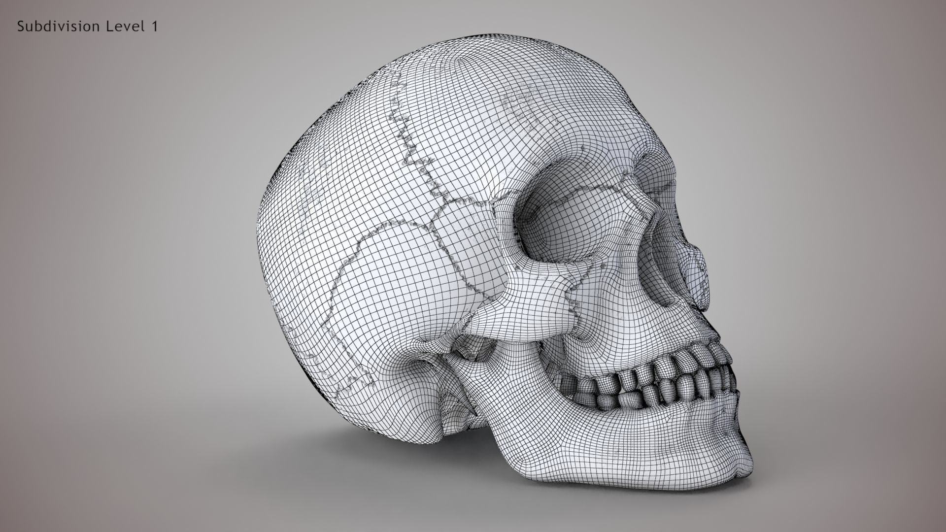 Human Skull Low-poly 3D model_16