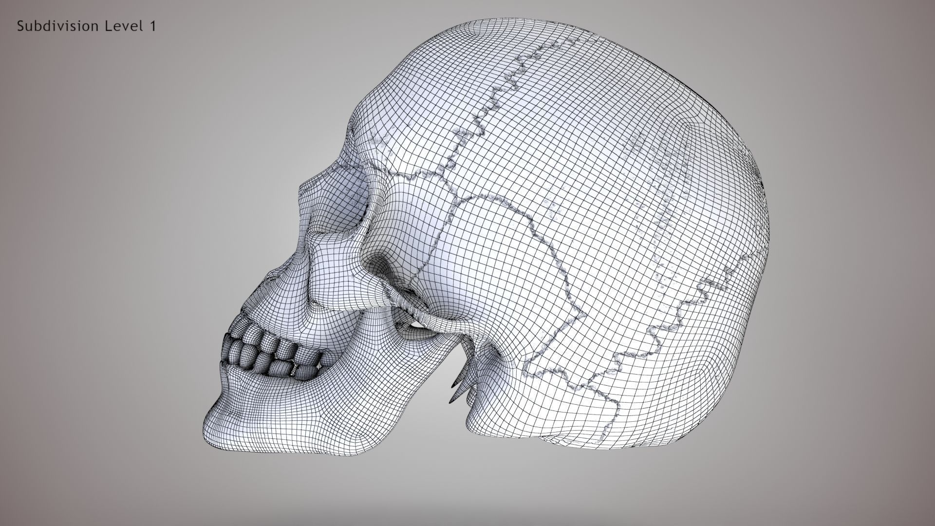 Human Skull Low-poly 3D model_17