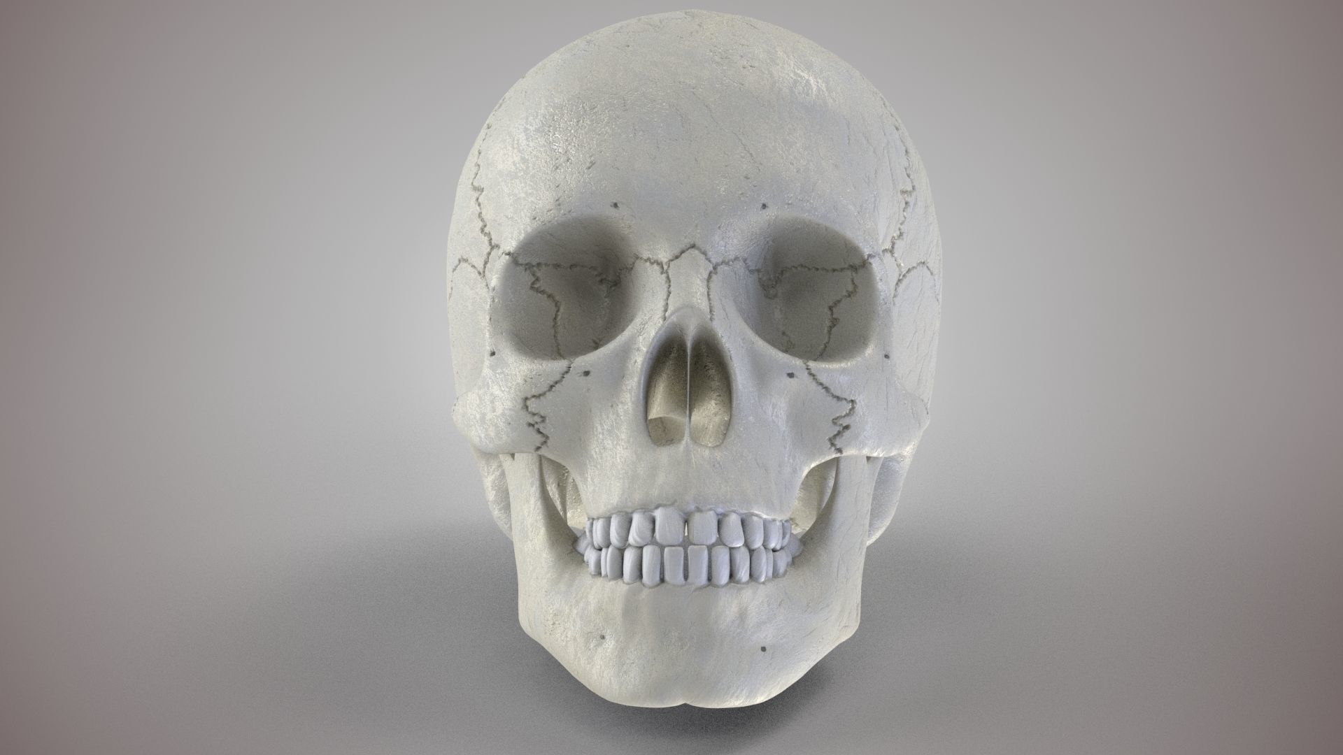Human Skull Low-poly 3D model_6