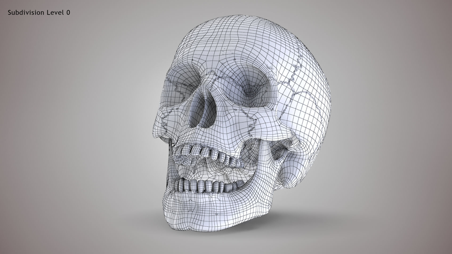 Human Skull Low-poly 3D model_8