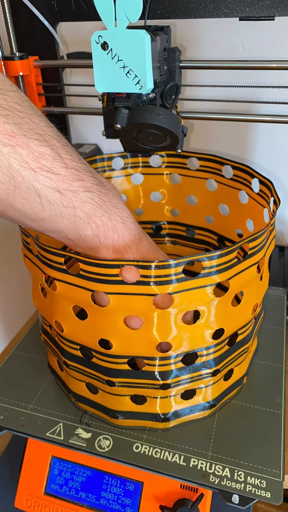 Bubbly Bowl Free 3D print model