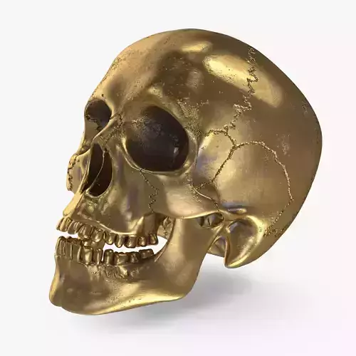 Golden Skull