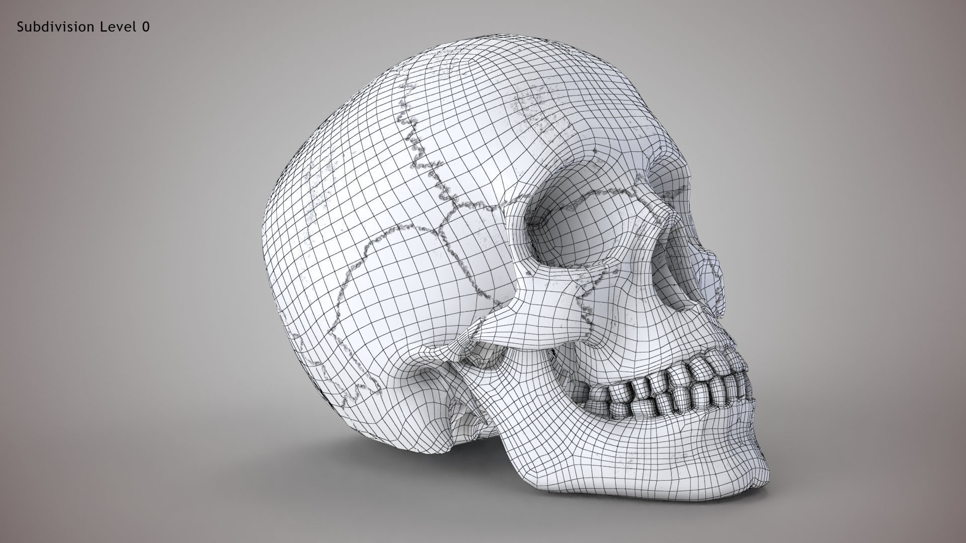Golden Skull Low-poly 3D model_17