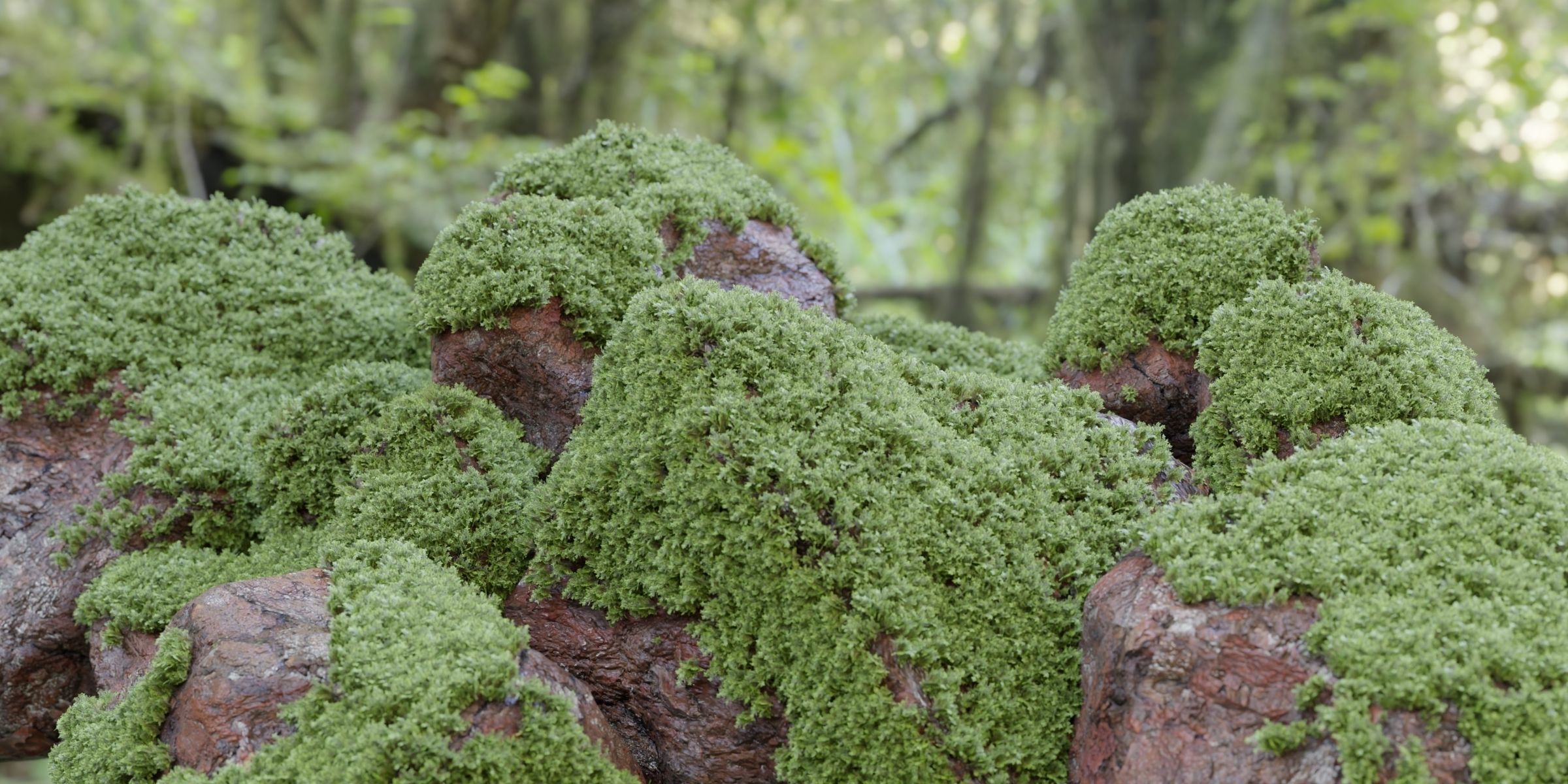 Mossy rocks garden collection vol 140-Blender 3D model_8