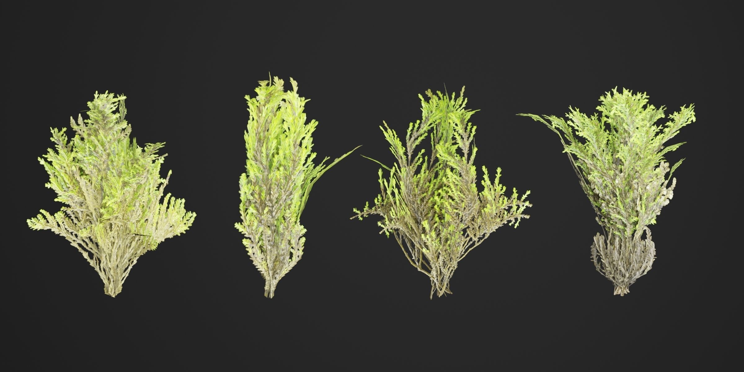 Mossy rocks garden collection vol 140-Blender 3D model_6