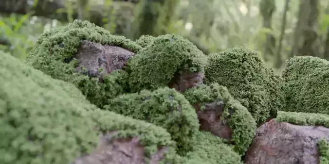 Mossy rocks garden collection vol 140-Blender