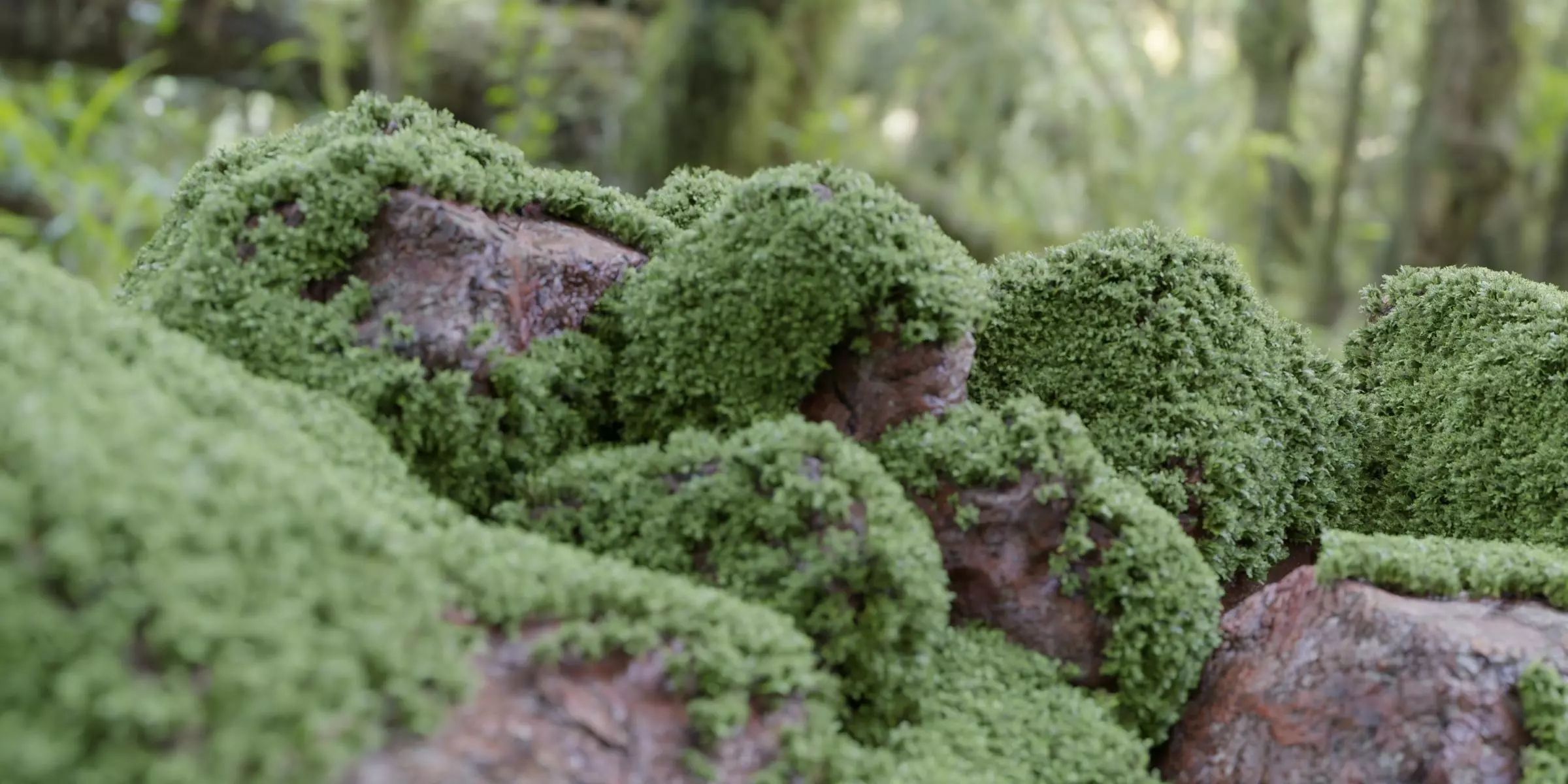 Mossy rocks garden collection vol 140-Blender 3D model_0