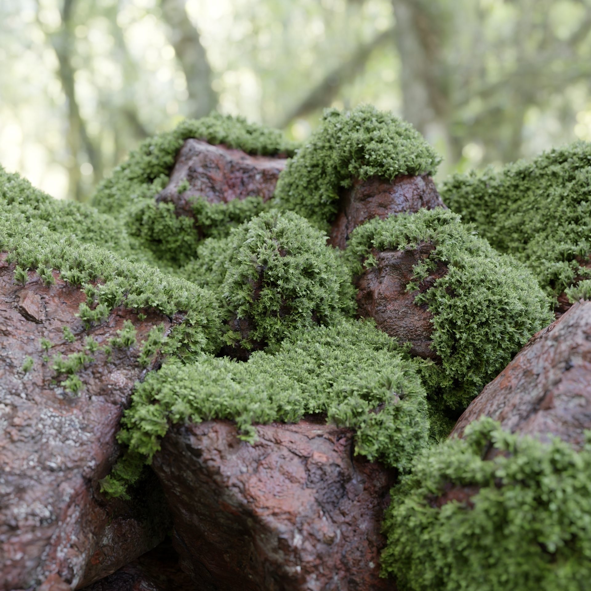 Mossy rocks garden collection vol 140-Blender 3D model_1