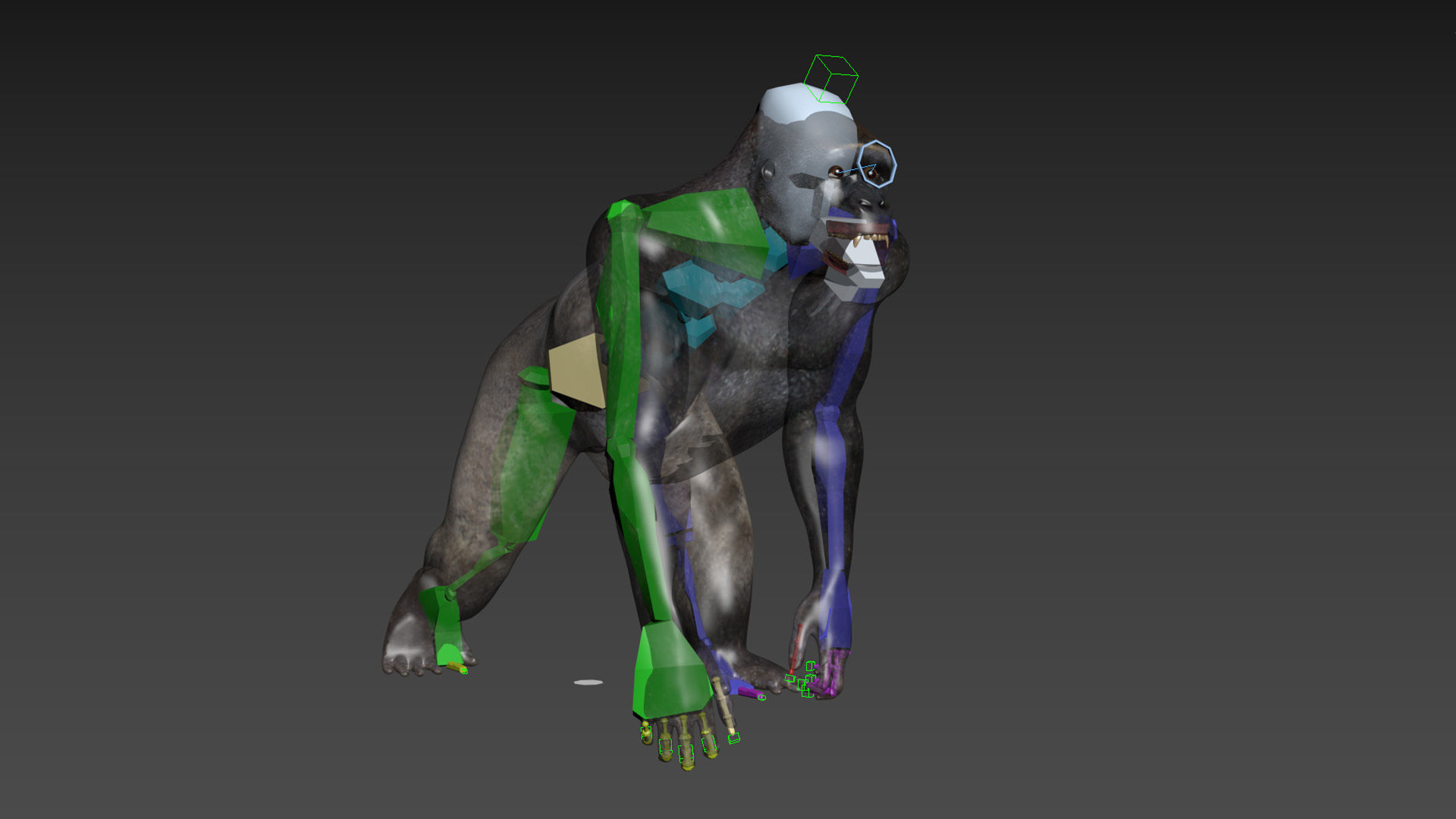 C Silverback Gorilla 8K- 3d animated 3D model_20