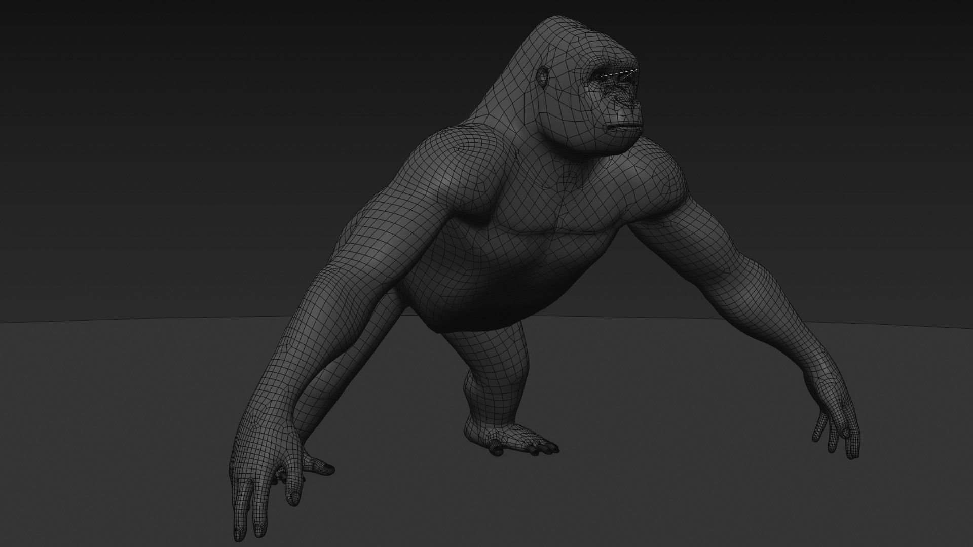 C Silverback Gorilla 8K- 3d animated 3D model_24