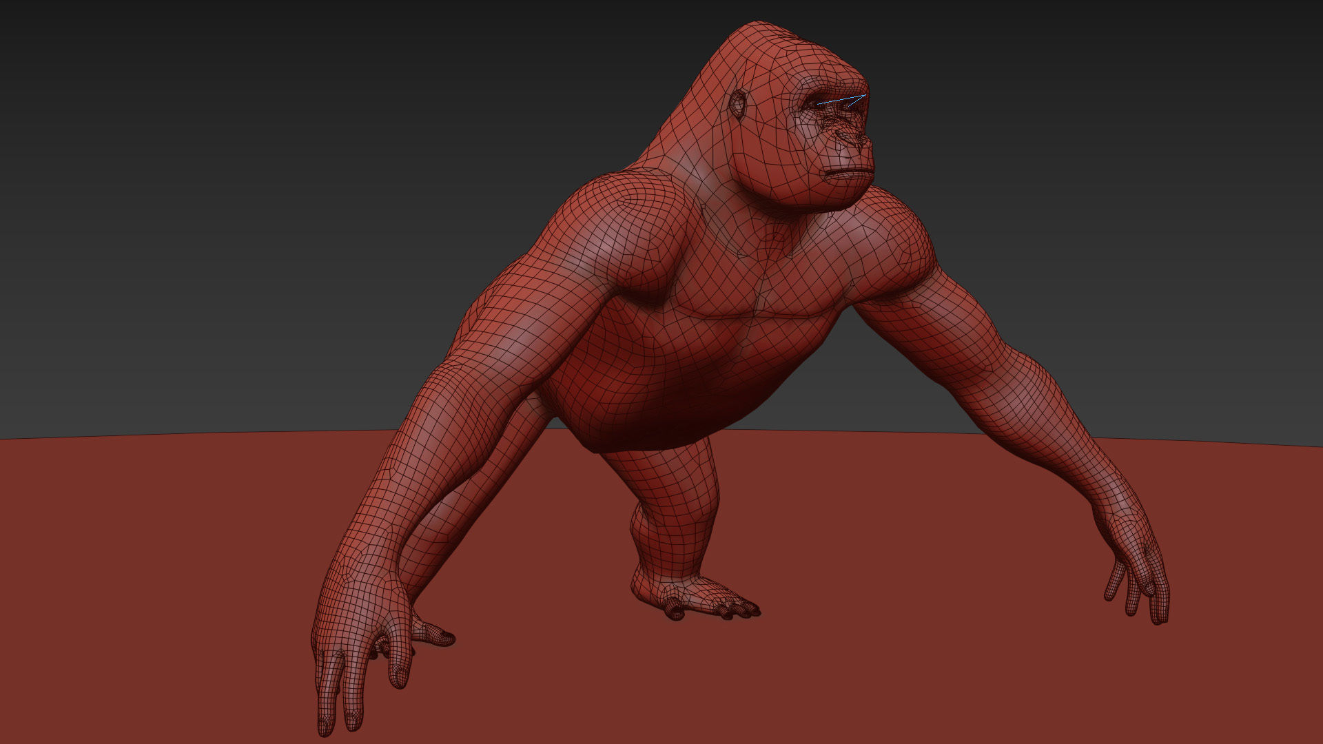 C Silverback Gorilla 8K- 3d animated 3D model_21