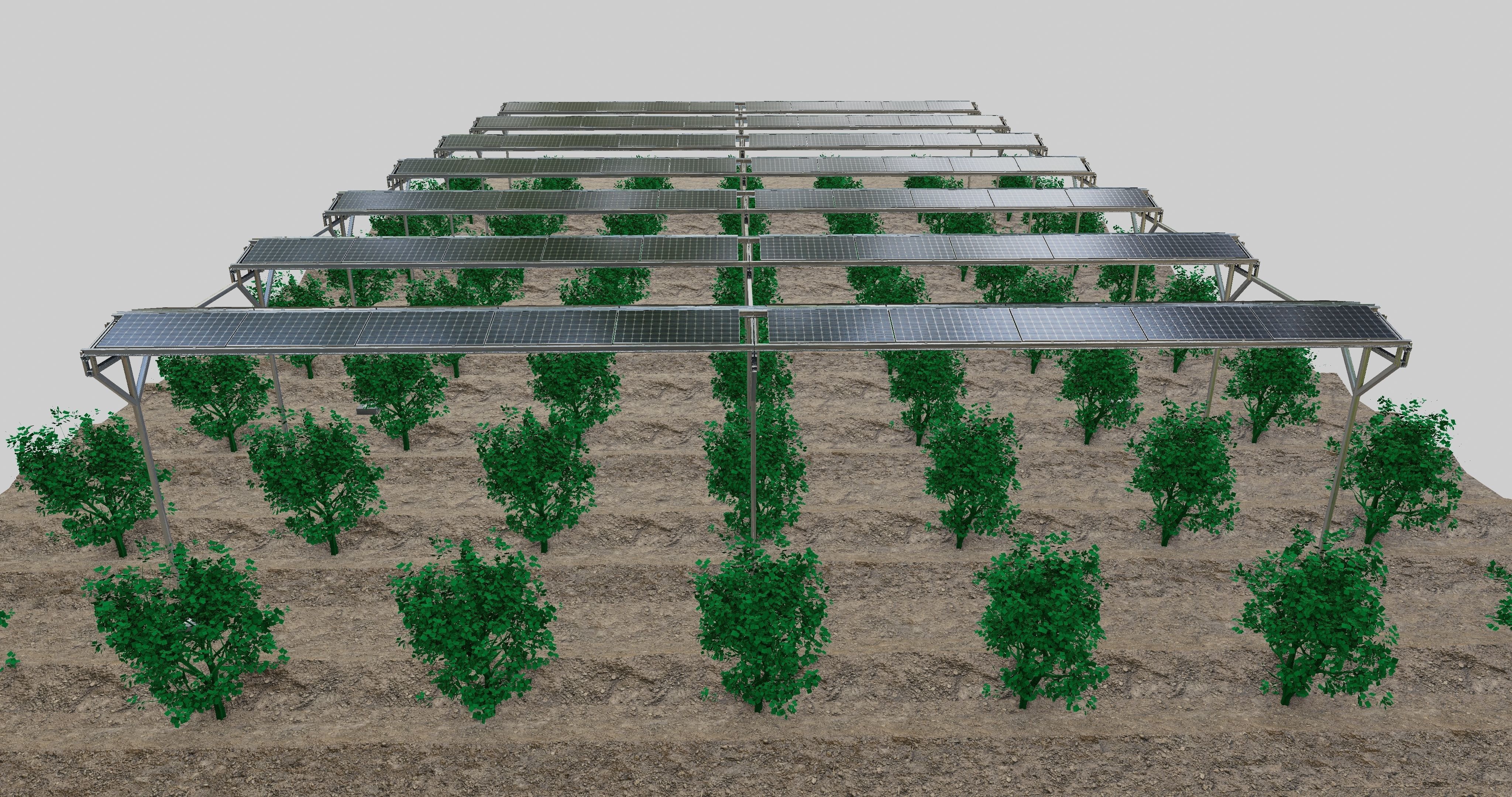 Solar Steel Construction For Farms Type-2 3D model_4