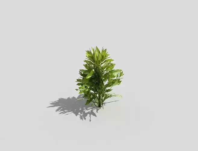 Low poly Plant
