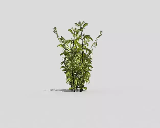 Low poly Plant in pot