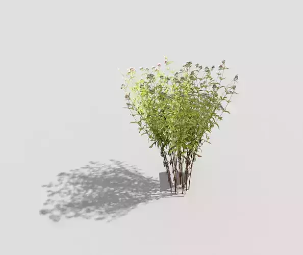 Low poly Plant plants in vase