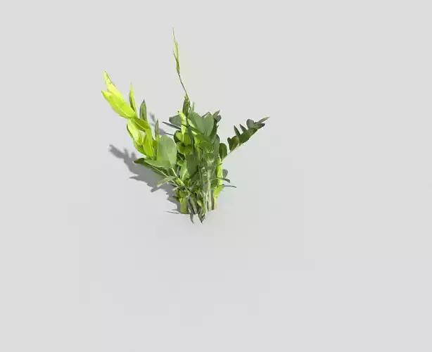 Low poly Plant