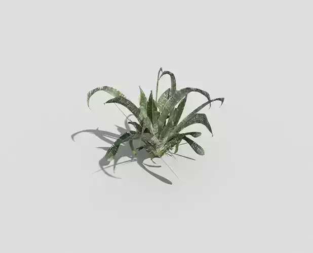 Low poly Plant