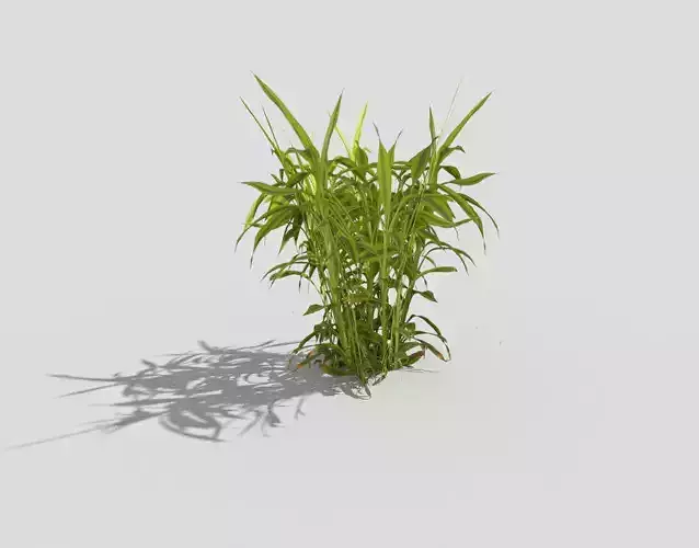 Low poly Plant grass