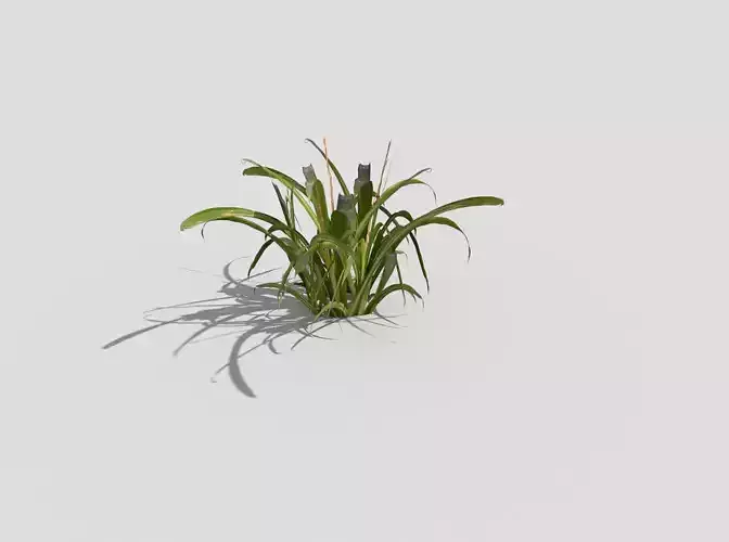 Low poly Plant