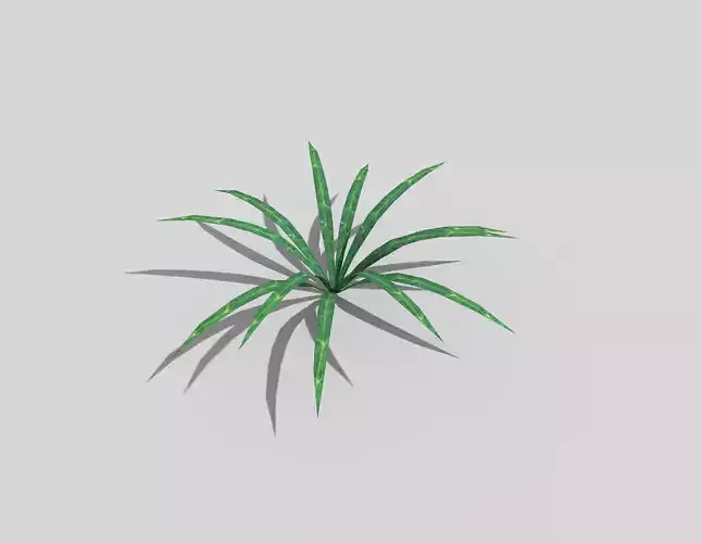 Low poly Plant aloe vera Low-poly 3D model