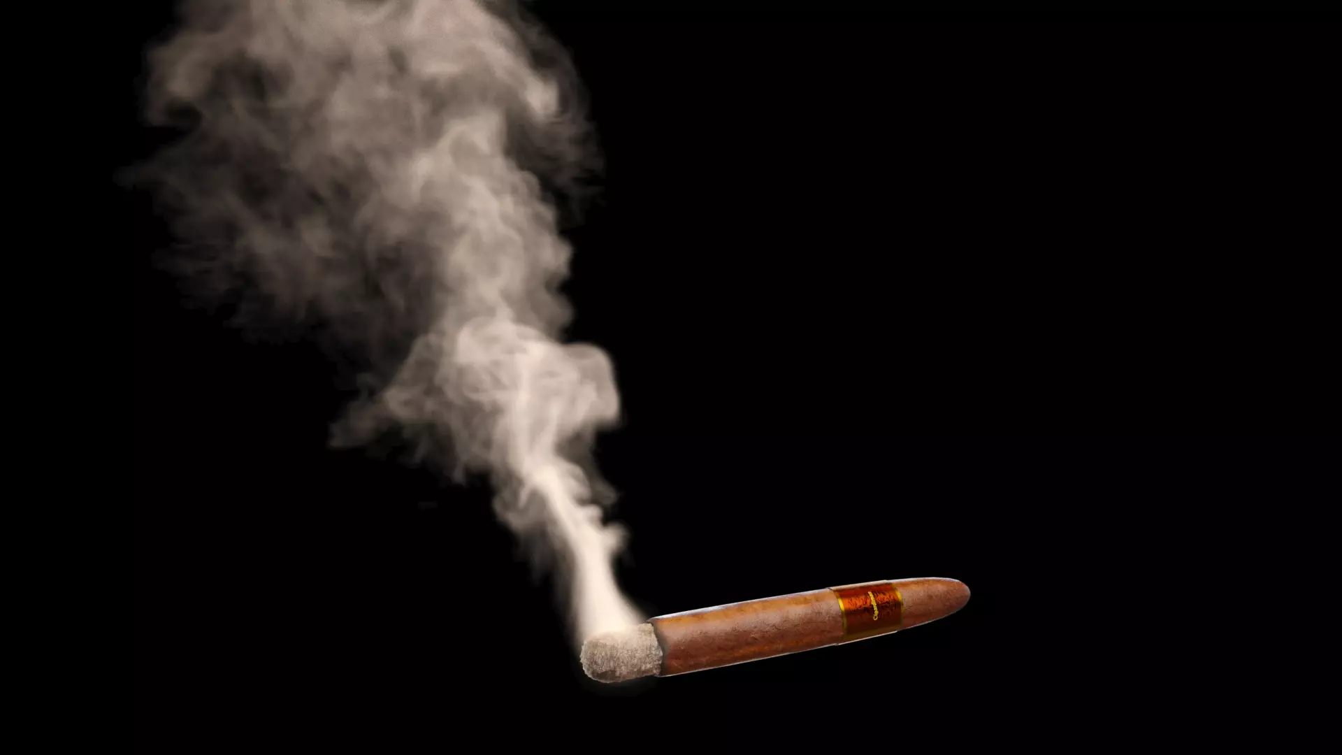 Cigar with VDB Smoke Animation Low-poly 3D model_0
