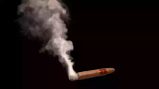 Cigar with VDB Smoke Animation Low-poly 3D model