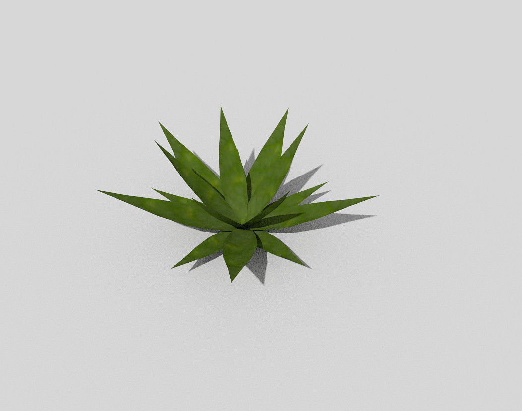 Low poly Plant aloe vera Low-poly 3D model_3