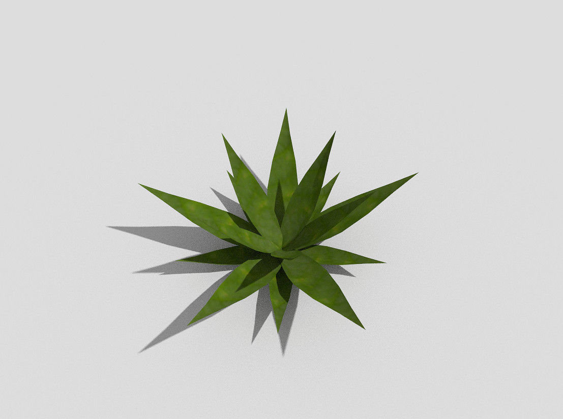 Low poly Plant aloe vera Low-poly 3D model_4