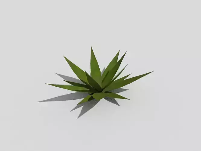 Low poly Plant aloe vera Low-poly 3D model