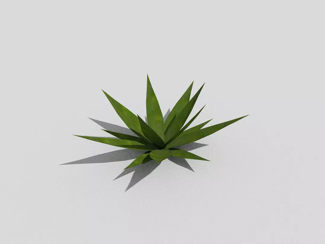 Low poly Plant aloe vera Low-poly 3D model_0