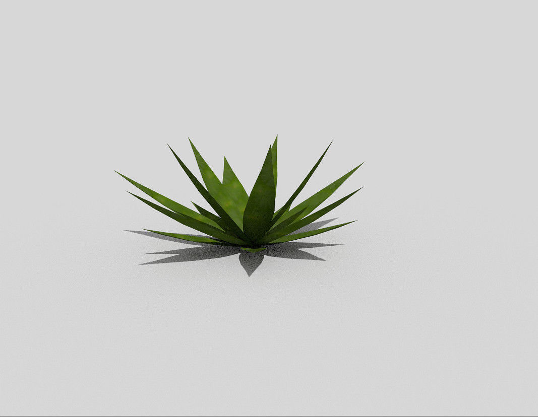 Low poly Plant aloe vera Low-poly 3D model_1